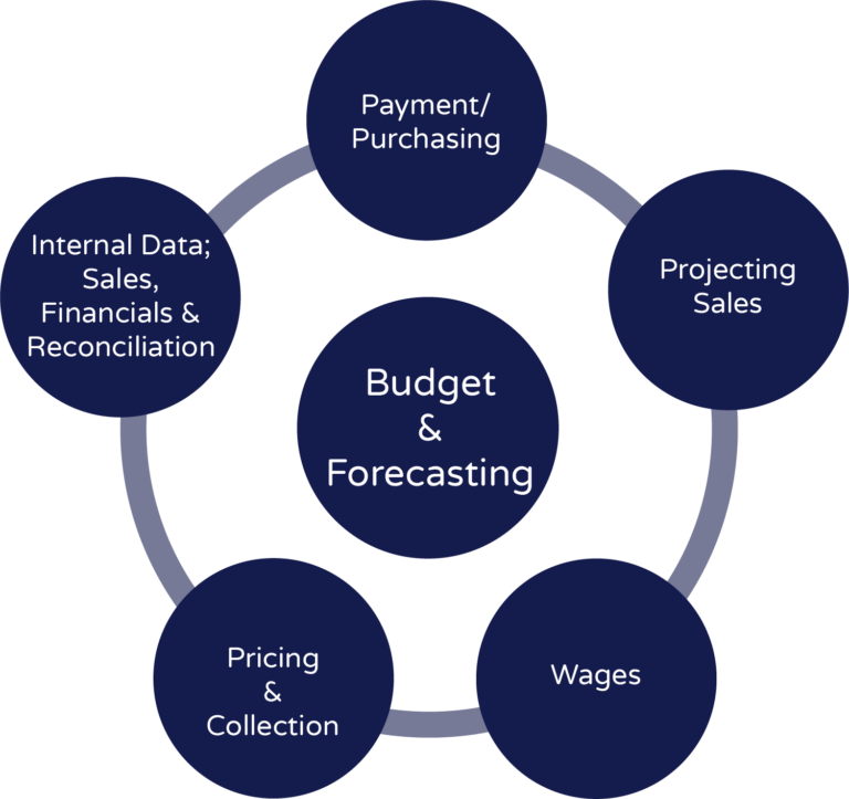 Budgeting: A Financial Road Map to making Smarter Business Decisions ...